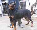 20060724030829-lay-fun.jpg