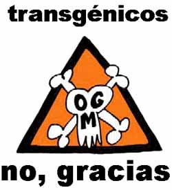 20090131144028-transgenicos-no-gracias.jpg